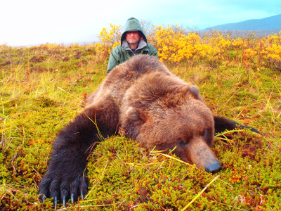 Brown Bear hunt